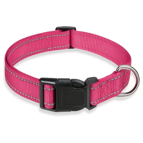 Nylon Dog Collar